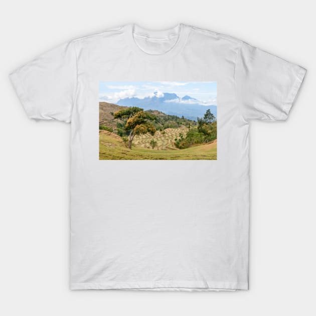 Timor Paddy Fields T-Shirt by fotoWerner